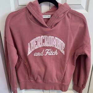 Abercrombie & Fitch Dusty Rose Hoodie